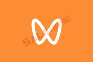 微信视频号下载工具 (支持直播回放、直播流) v251201 中文绿色版