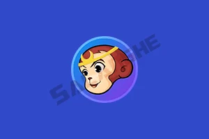 DVDFab (DVD备份和制作软件) v13.0.5.2 中文便携版