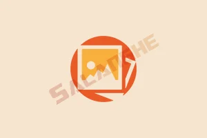 PicView (图像浏览器) v4.0.0 中文绿色版