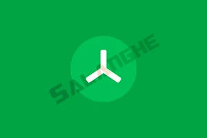 TreeSize Pro (磁盘空间管理工具) v9.6.2.2158 便携版