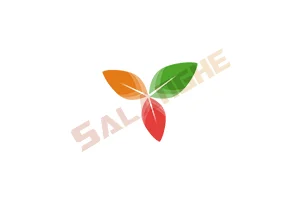 Trilium Notes (笔记应用程序) v0.99.5 绿色版