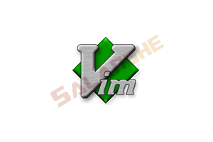 Vim编辑器 v9.1.1918 中文绿色版