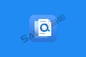 Wise Duplicate Finder Pro (重复文件查找删除) v2.1.9.71 中文绿色版