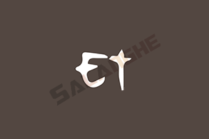 Electerm (SSH桌面终端) v2.3.100 中文绿色版