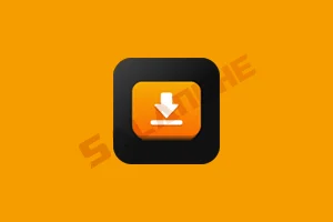 iDownerGo (视频下载工具) v10.9.3 汉化绿色版