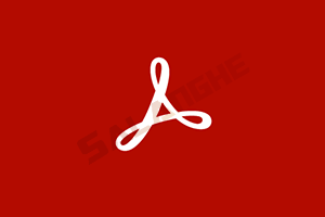Acrobat Pro DC 2026.002.21869 绿色便携版
