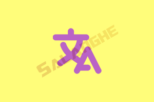 STranslate (翻译/OCR) v2.0.3 中文绿色版