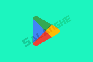 谷歌商店客户端 Google Play v52.8.55 官方版