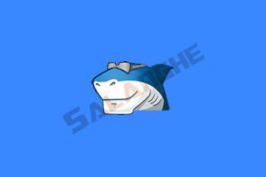 影音解码器 ADVANCED Codecs v20.4.6 便携版