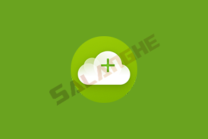4K Video Downloader+ v26.3.2 绿色便携版