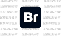 <span class="salanghe-vip-title-badge" aria-label="VIP专享">VIP</span>Adobe Bridge 2026 (v16.0.8.10.00) 中文版