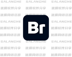 <span class="salanghe-vip-title-badge" aria-label="VIP专享">VIP</span>Adobe Bridge 2026 (v16.0.8.10.00) 中文版