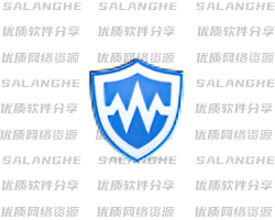 Wise Care 365 PRO (v8.0.6.734) 中文绿色版
